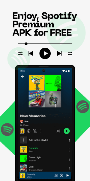 Mobile screenshot of Spotify playlist